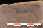 Foto (Detailsansicht) von Quercus palaeoilex Ettingshausen (NHMW-GEO-2024-0188-0925)